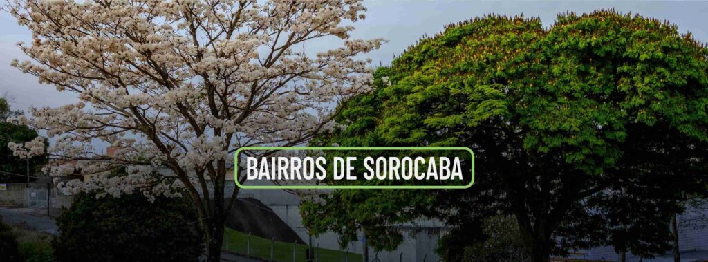 Árvores do bairro de Sorocaba